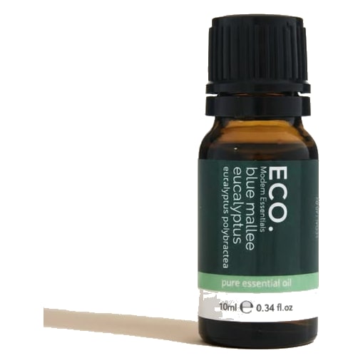 Blue Mallee Eucalyptus Pure Essential Oil 10mL