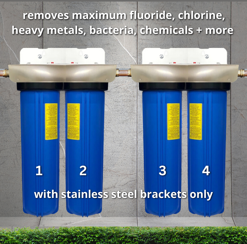 AlkaViva PureHome 4-Stage Whole House Fluoride & Chlorine System